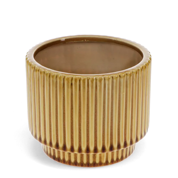 Ridged Plants Pots
