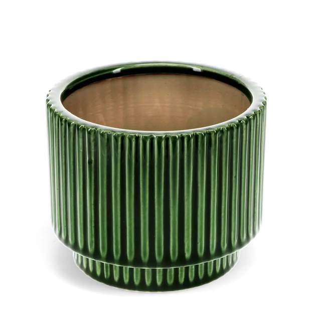 Ridged Plants Pots