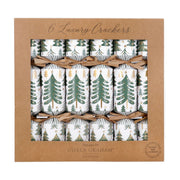 Christmas Crackers Box of 6 - New England Trees