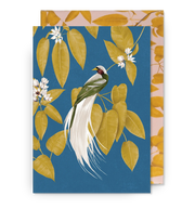 Bird of Paradise Greeting Card