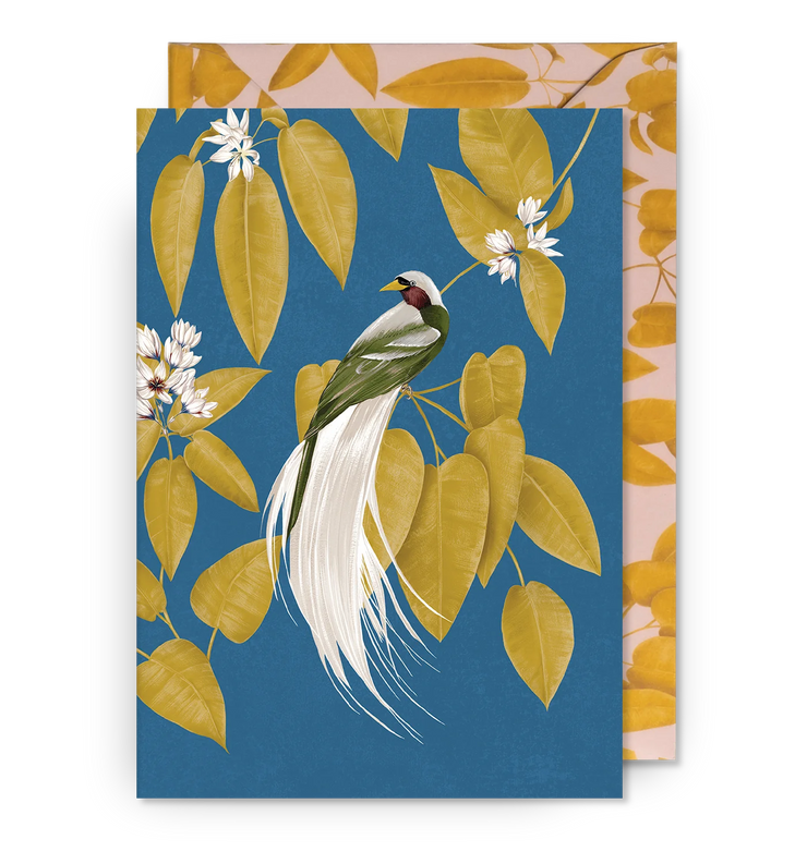 Bird of Paradise Greeting Card