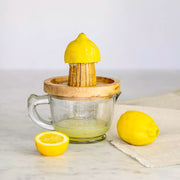 Glass & Wood Citrus Juicer