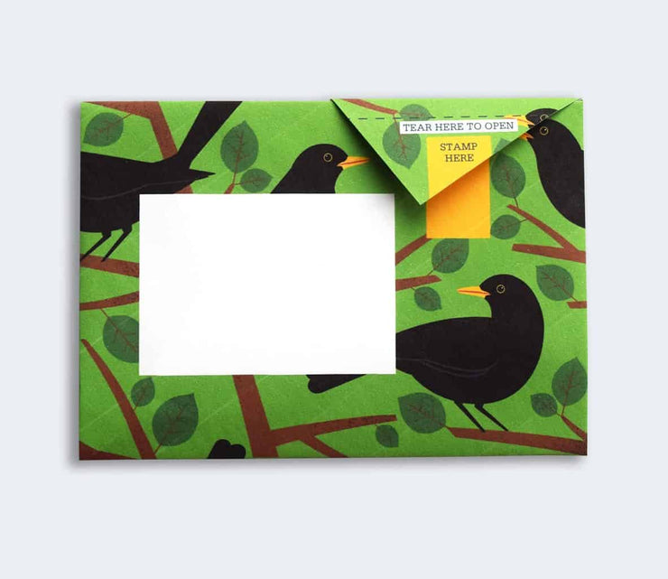 Pigeon Stationery Pack - Dawn Chorus