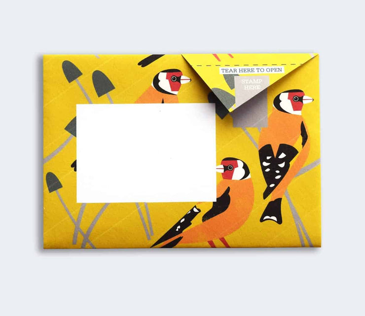 Pigeon Stationery Pack - Dawn Chorus