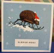 Charity Christmas Cards Set of 6 - Sledge-Hog!