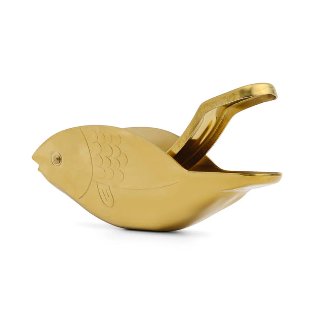 Here's How Stevie Fish Citrus Juicer