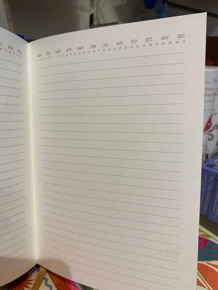 Suedette Hardcover Radiant Journals