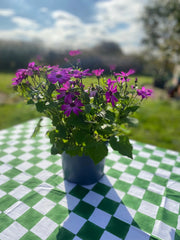 Twizzell Block Print Large Tablecloth - Racing Green Checkerboard