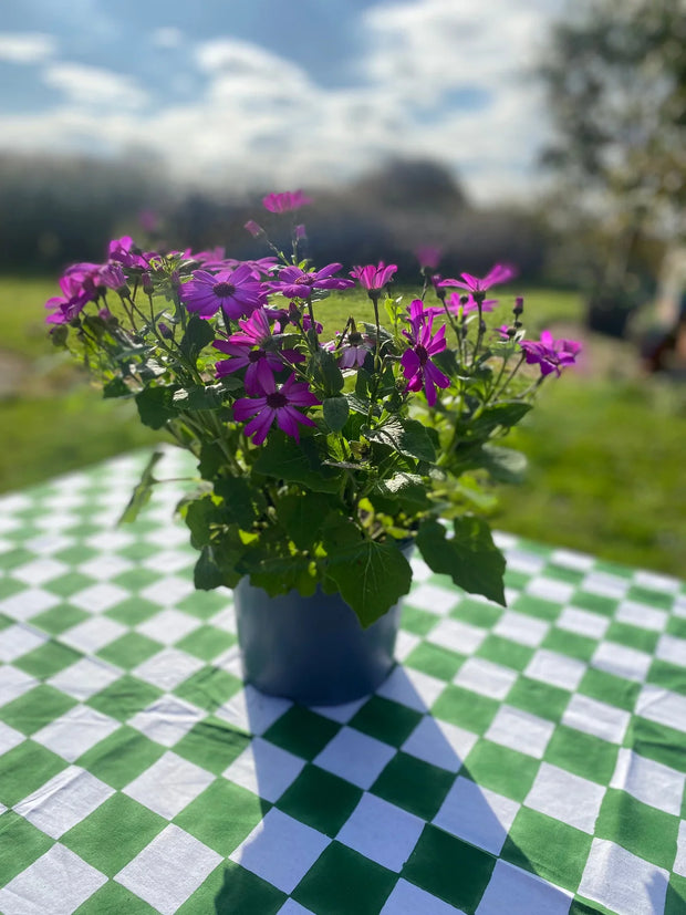 Twizzell Block Print Large Tablecloth - Racing Green Checkerboard