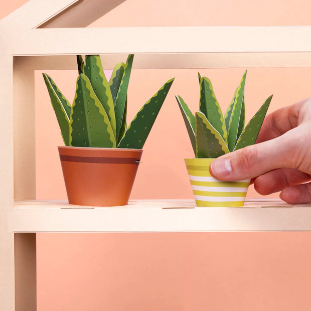 Make Your Own Aloe Vera Mini Paper Plant Kit