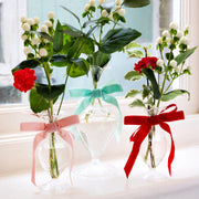 Candy Velvet Bows 8 Pack - Green