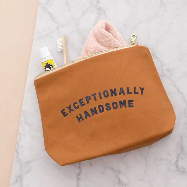 Exceptionally Handsome Wash Bags