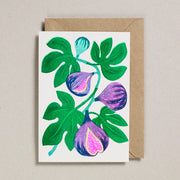 Petra Boase Grow Cards