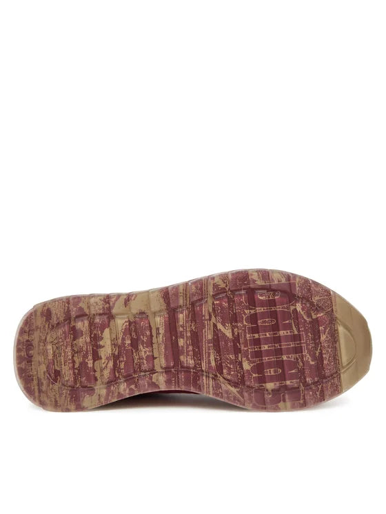 Hoff Dallas City Trainer