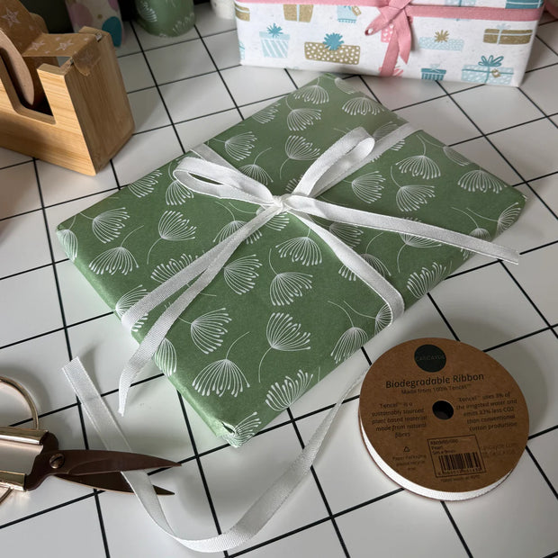 Cascayde Biodegradable 9mm Ribbons - 5m
