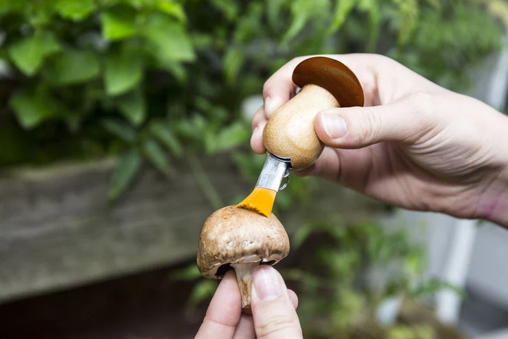 Mushroom Tool Keychain